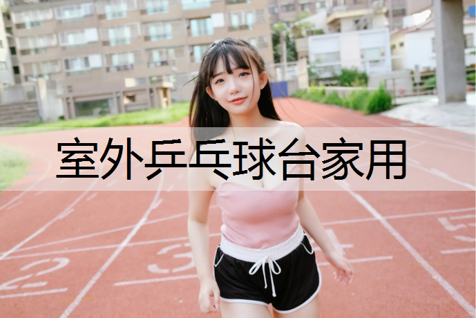 室外乒乓球台家用 室外乒乓球台家用