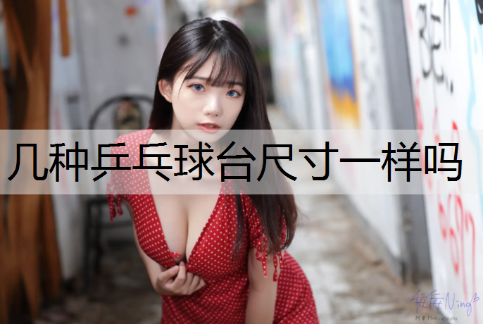 几种乒乓球台尺寸一样吗