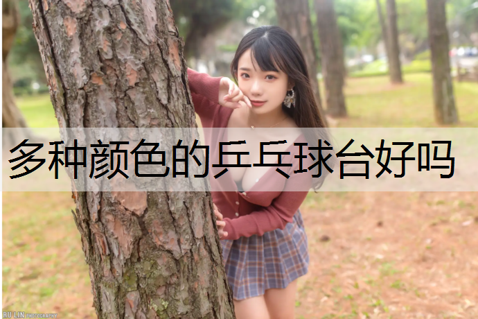 多种颜色的乒乓球台好吗