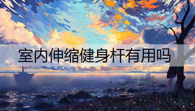 室内伸缩健身杆有用吗